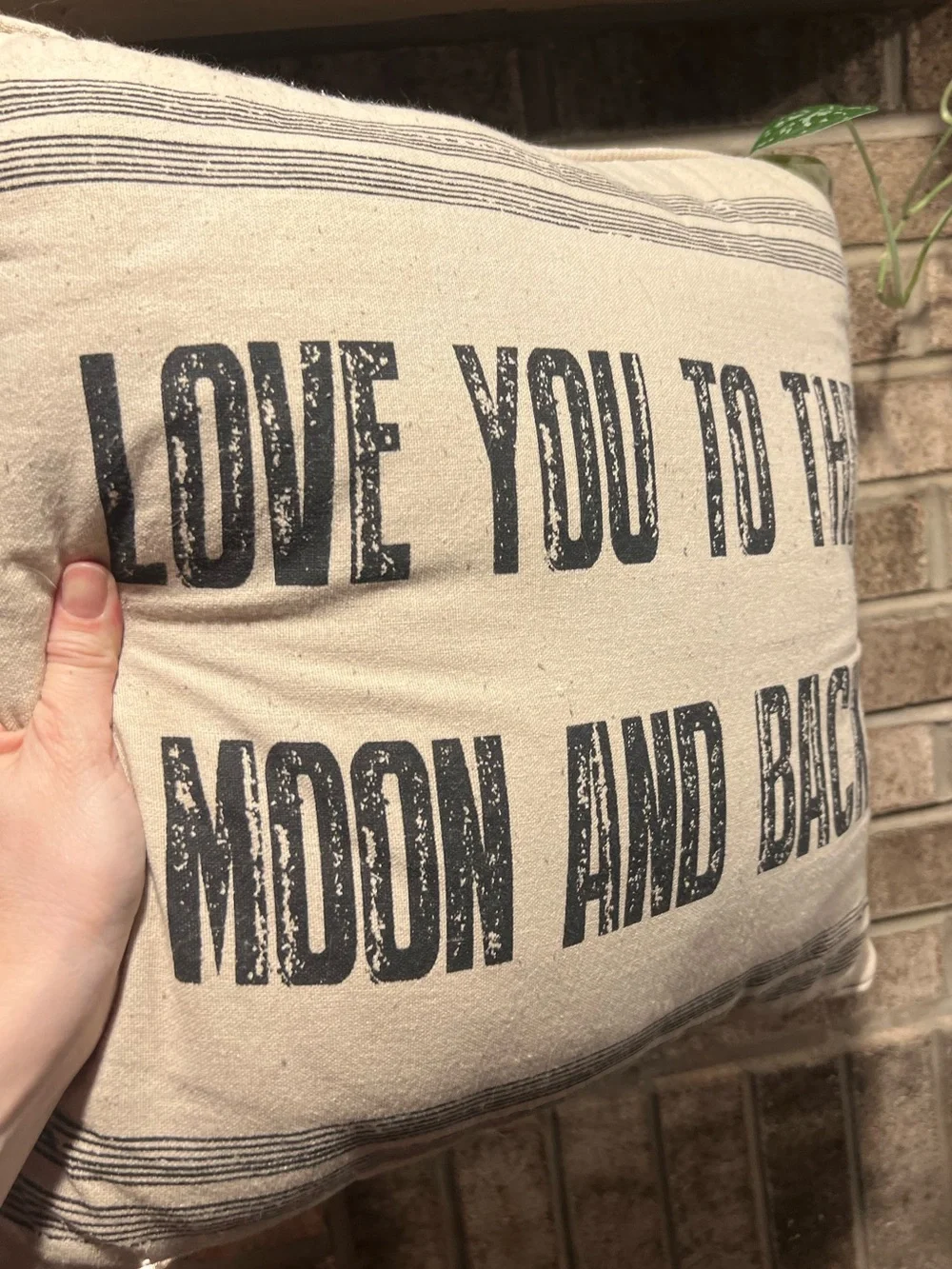 Love you To The Moon and Back  Decorative Throw Pillow